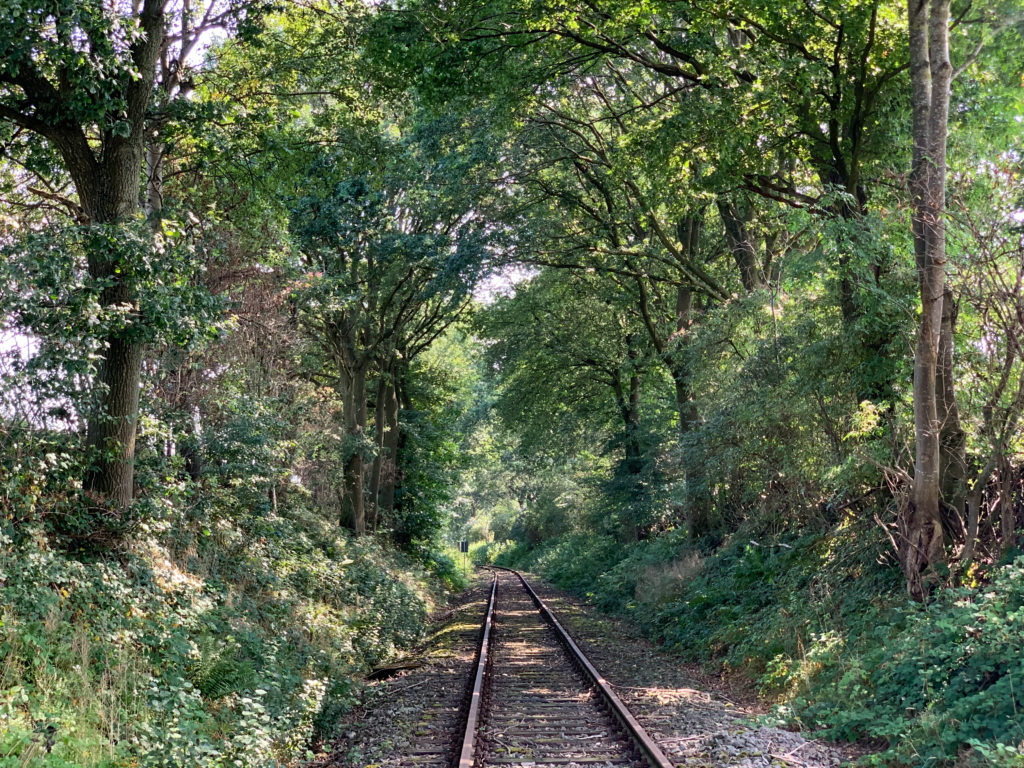 train-tracks